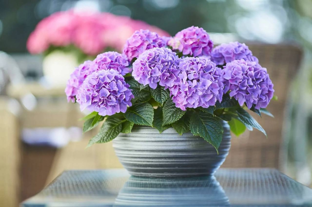 photo_5456531950299897707_y