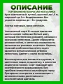 Гортензия метельчатая Металлика