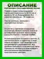 Гортензия метельчатая Граундбрейкер Блаш