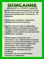 Мискантус китайский Стриктус Дварф
