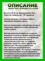 Живучка ползучая Принцесса Надя