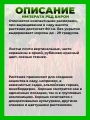 Императа цилиндрическая Ред Барон