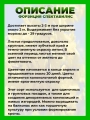 Форзиция промежуточная Спектабилис
