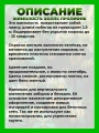 Жимолость японская Холлс Пролифик