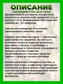 Гортензия метельчатая Пастель Грин