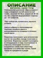 Вероника простертая Ацтек Голд