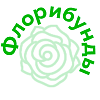 Флорибунды