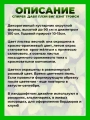 Спирея японская Дабл Плей Биг Бэнг Трейси