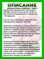 Хризантема крупноцветковая Рэйнбоу Твист