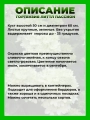 Гортензия метельчатая Литтл Пэшн