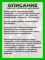 Гибискус сирийский Пинк Шифон