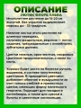 Лютик ползучий Флоре Плена