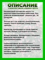 Снежноягодник Доренбоза Мэджик Берри