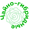 Чайно-гибридные