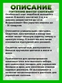 Гортензия плетистая Винтер Сюрпрайз