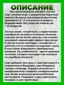 Ива белоснежная Айсберг Аллей