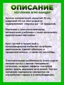 Котовник Фассена Блю Вандер