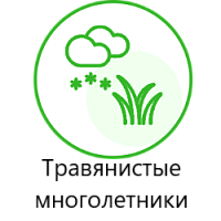 Многолетние травы