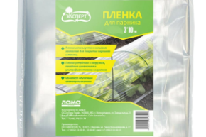 пленка