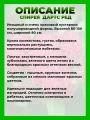 Спирея японская Дартс Ред