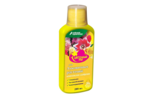 луковичные