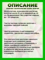 Очиток гибридный Санспарклер Лайм Зингер