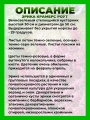 Эрика дарлейенская Крамерс Роут
