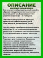 Келерия сизая Колио