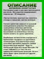 Вербейник монетчатый