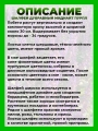 Шалфей дубравный Миднайт Пурпул